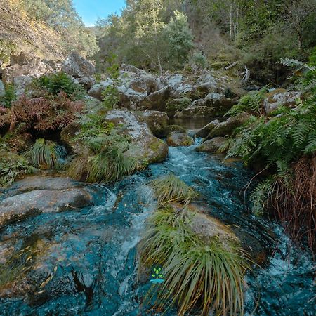 Pensjonat Casa Da Ribeira Do Cirio Seia Zewnętrze zdjęcie
