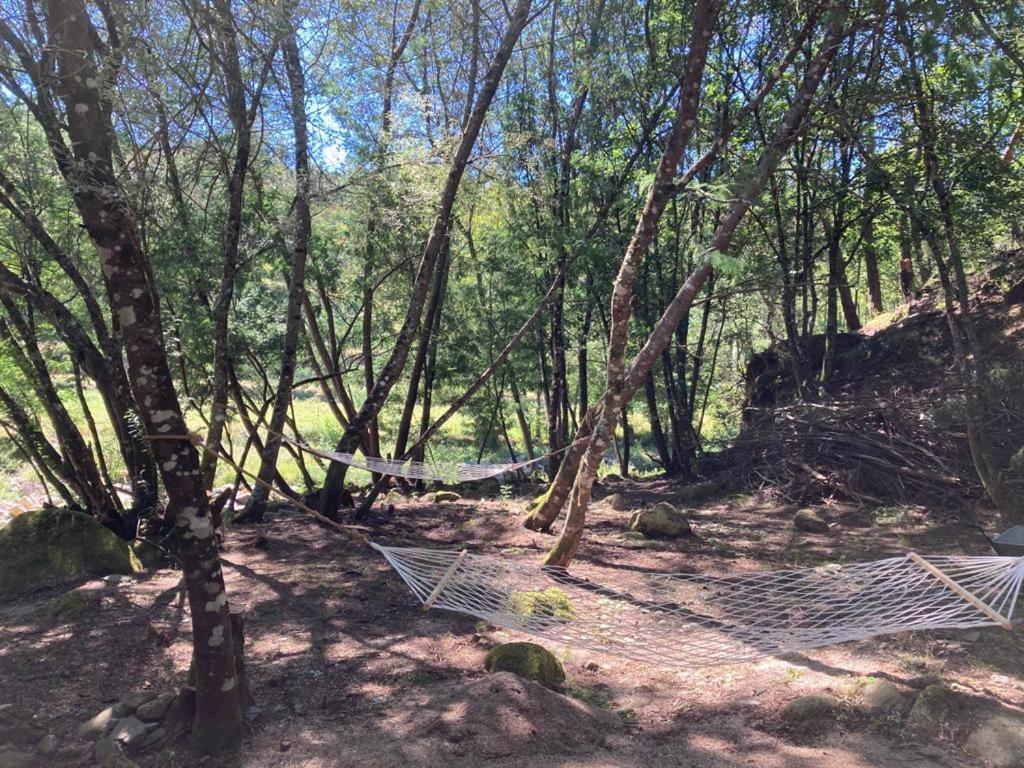 Pensjonat Casa Da Ribeira Do Cirio Seia Zewnętrze zdjęcie