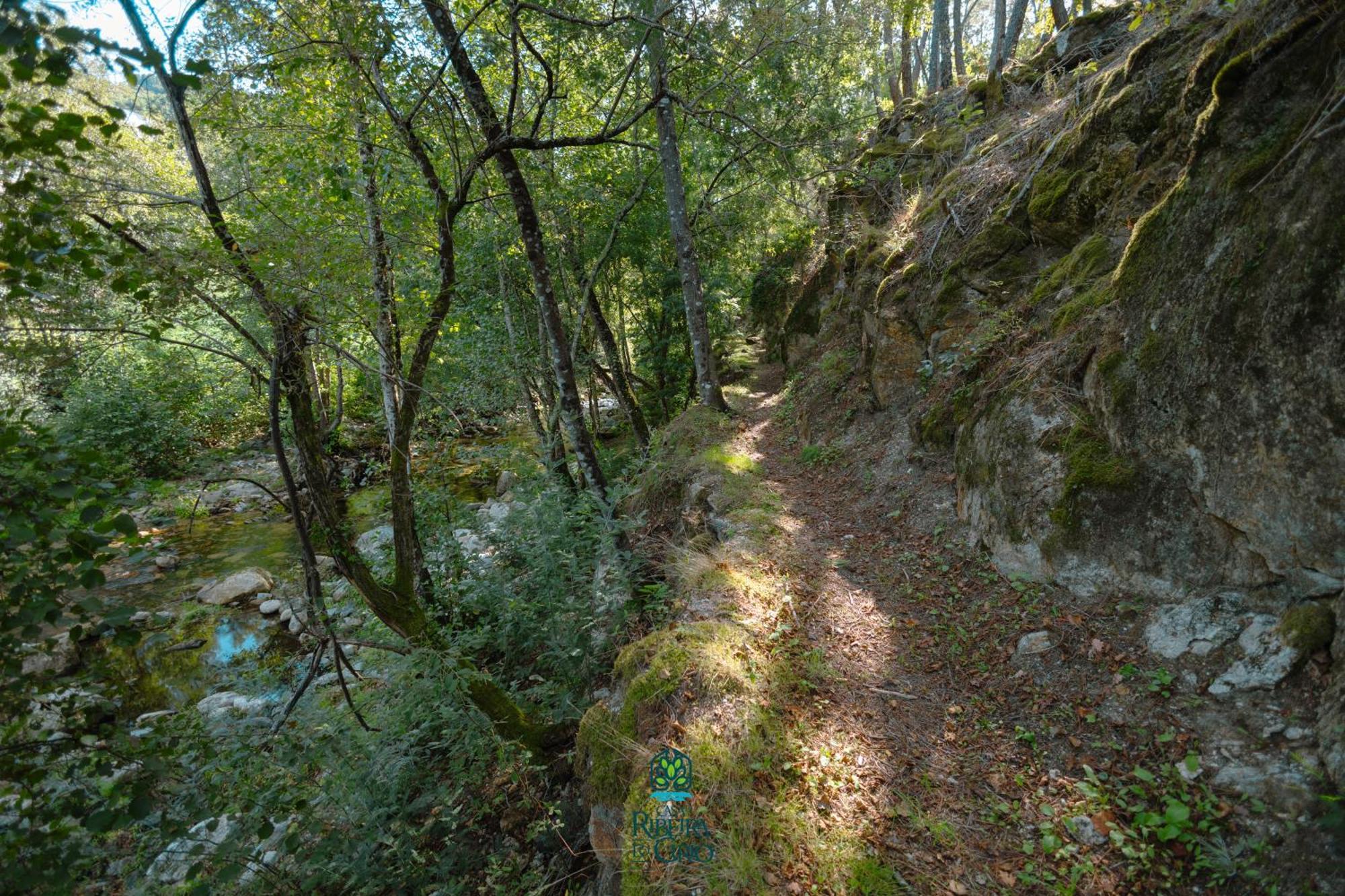 Pensjonat Casa Da Ribeira Do Cirio Seia Zewnętrze zdjęcie