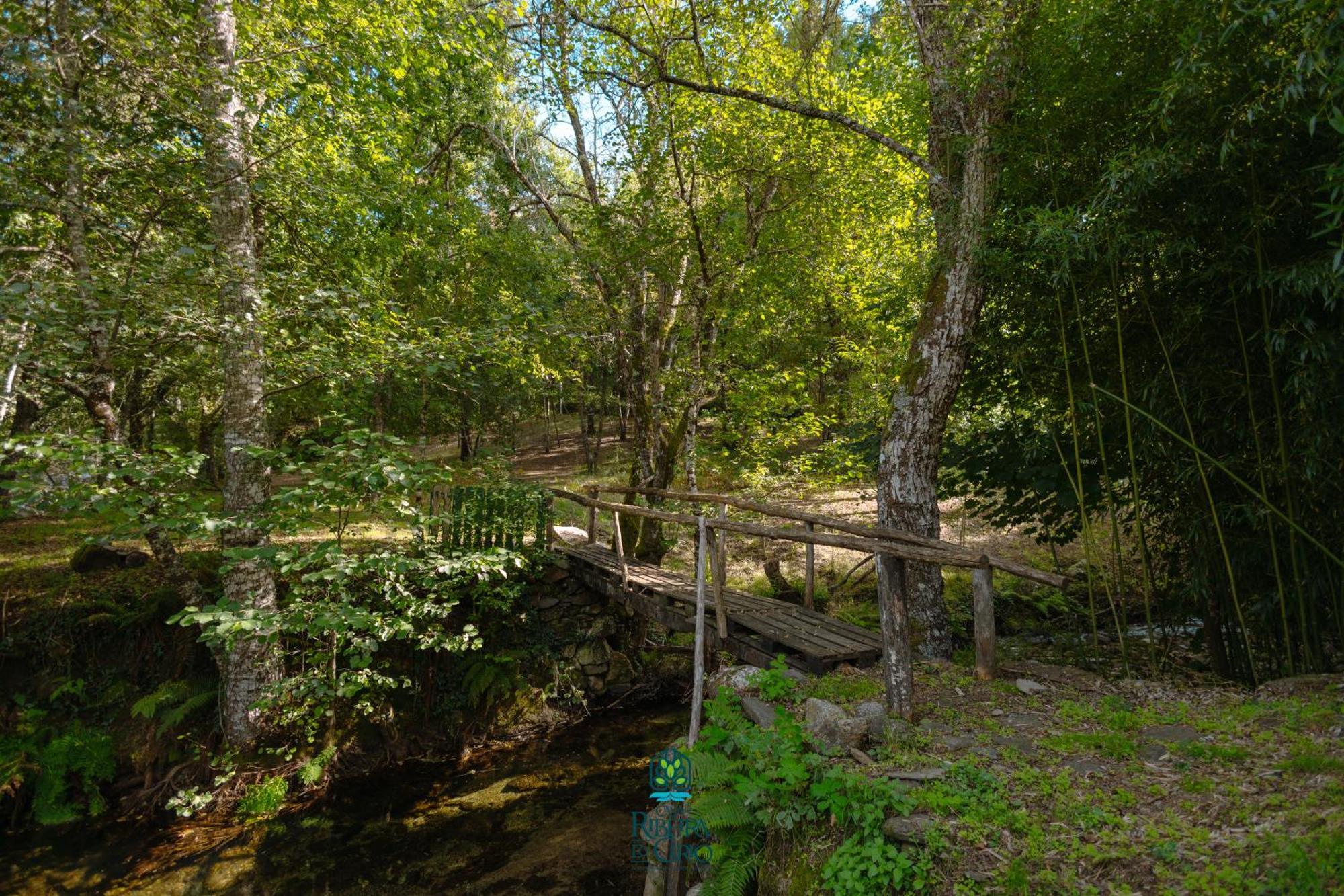 Pensjonat Casa Da Ribeira Do Cirio Seia Zewnętrze zdjęcie