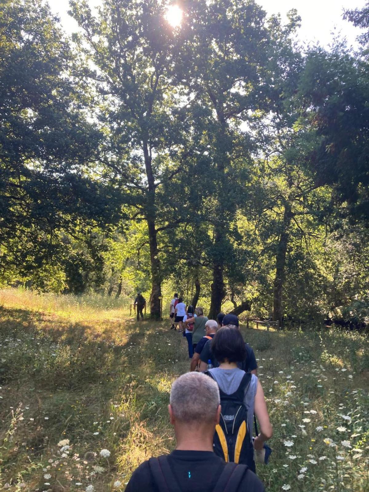 Pensjonat Casa Da Ribeira Do Cirio Seia Zewnętrze zdjęcie