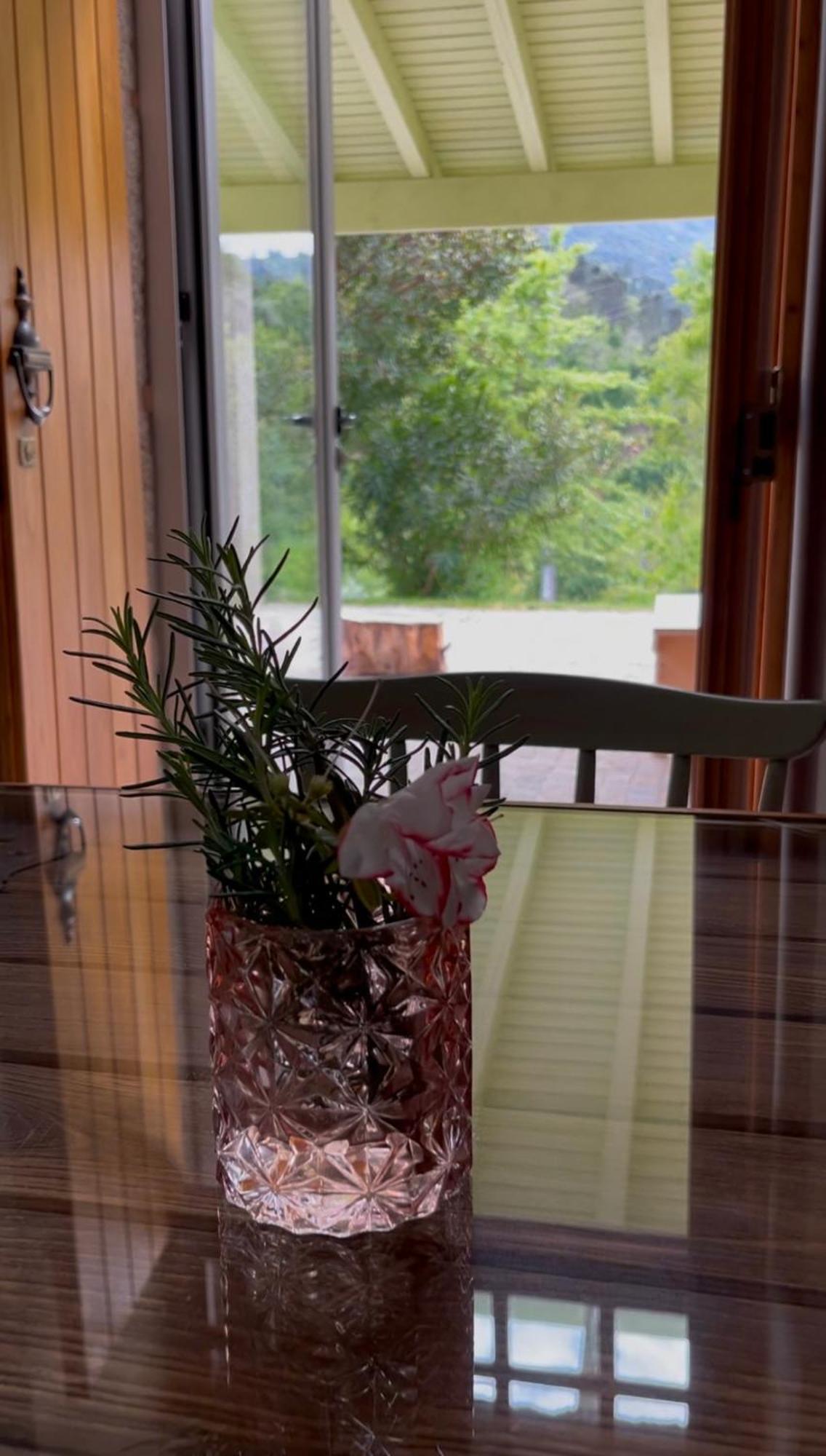 Pensjonat Casa Da Ribeira Do Cirio Seia Zewnętrze zdjęcie