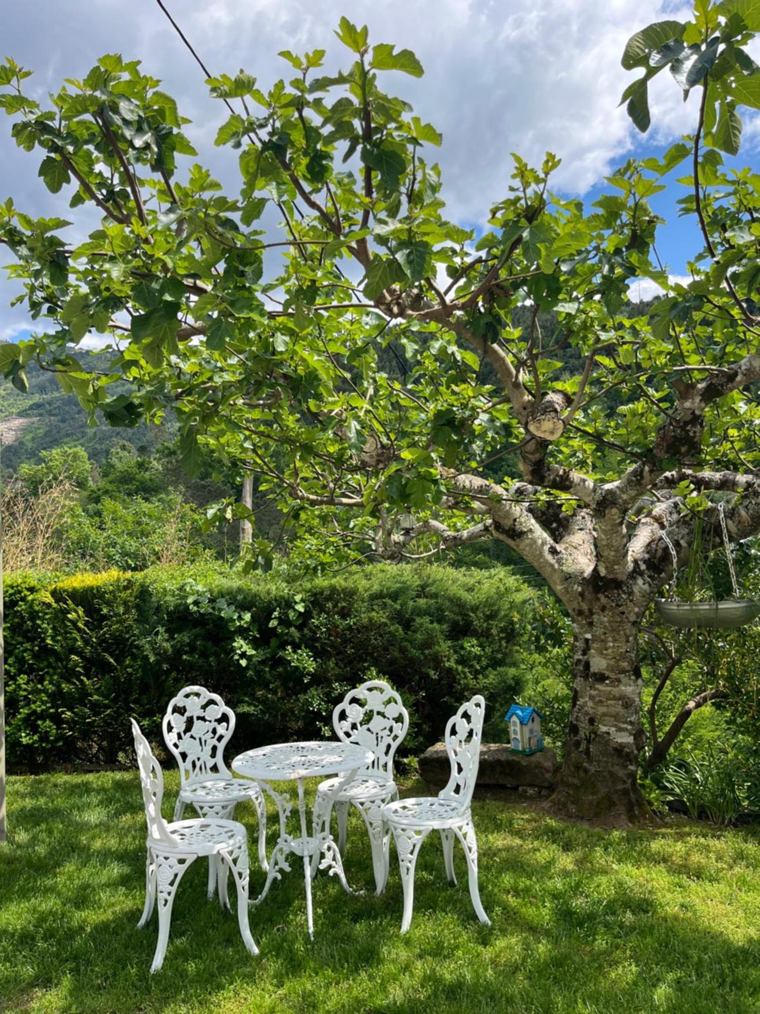 Pensjonat Casa Da Ribeira Do Cirio Seia Zewnętrze zdjęcie