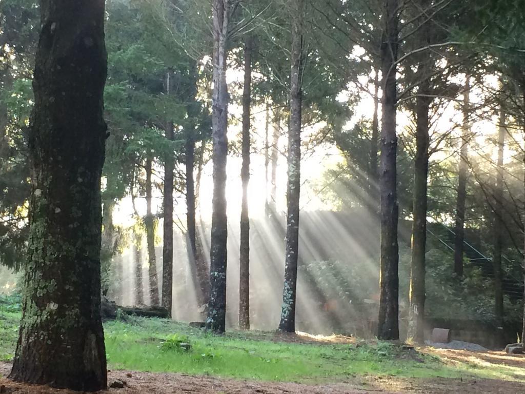 Pensjonat Casa Da Ribeira Do Cirio Seia Zewnętrze zdjęcie