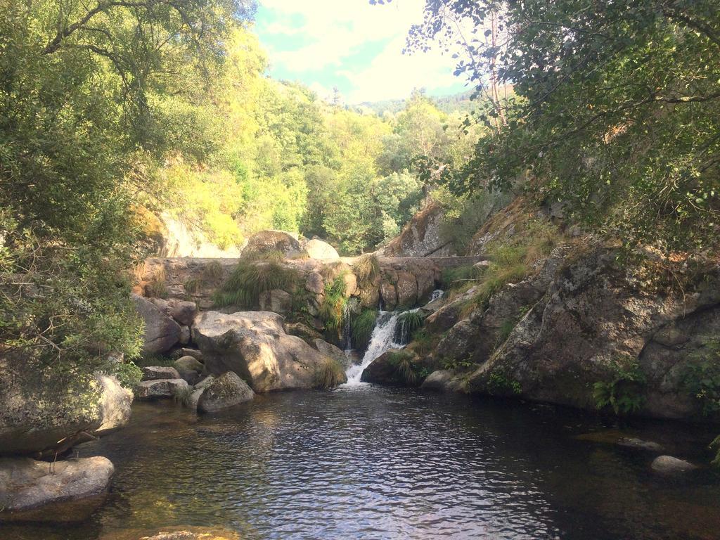 Pensjonat Casa Da Ribeira Do Cirio Seia Zewnętrze zdjęcie