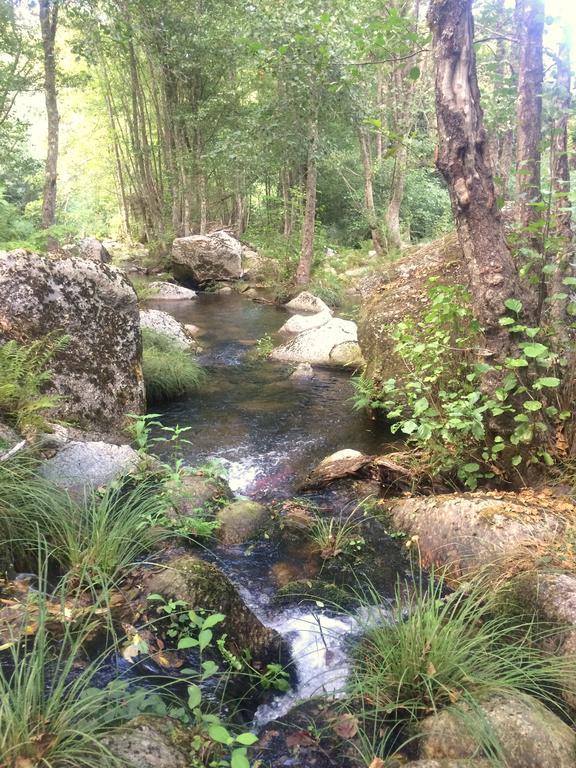 Pensjonat Casa Da Ribeira Do Cirio Seia Zewnętrze zdjęcie